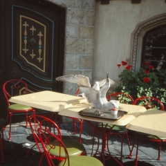 1990-flo-018-disney
