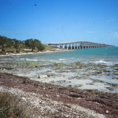1990-flo-049-kw