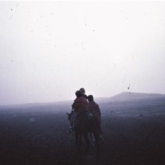 110