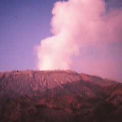 113