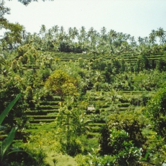 180-Bali-11