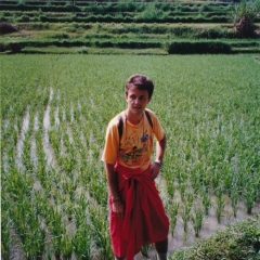 181-Bali