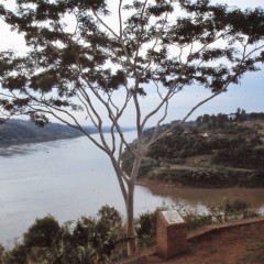 29-iguazu