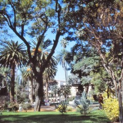 49-salta