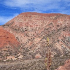 55-cuesta-del-obisco