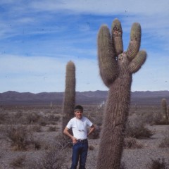 60-altiplano