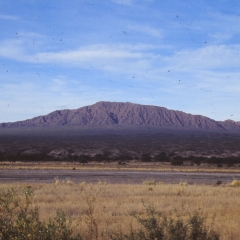 64-calfayate