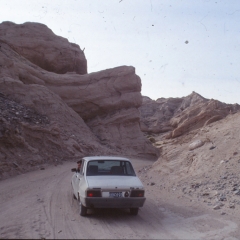 66