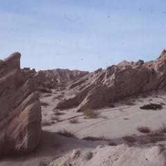 67