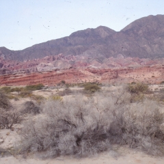 72-calfayate-salta