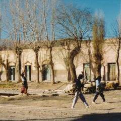 Arg-29-Salta