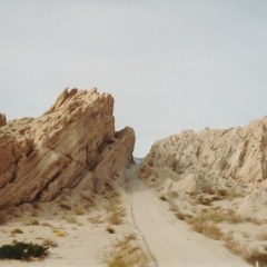 Arg-35-Salta