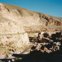 Arg-36-Salta