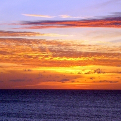 P1000220