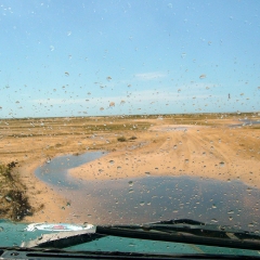 P1000232