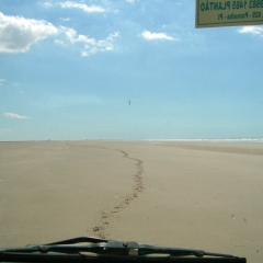 P1000233