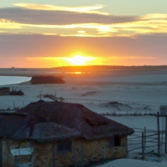 P1000237