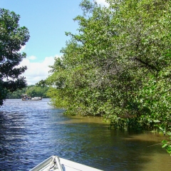 P1000245