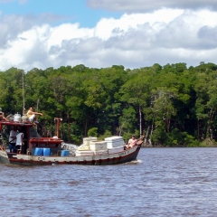 P1000246