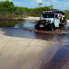 P1000253