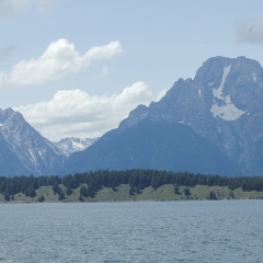 DSC_0239-2