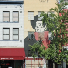 DSC_0113
