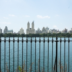 DSC_0221