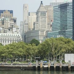 DSC_0335