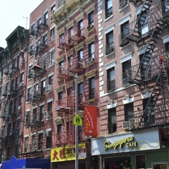 DSC_0389