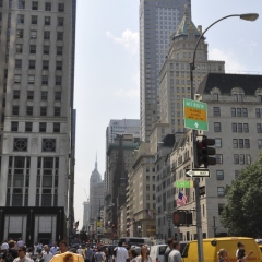 DSC_0455