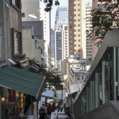 DSC_0497