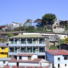 DSC_0401-2