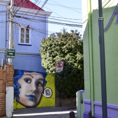 DSC_0426