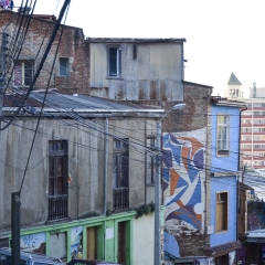 DSC_0446