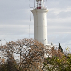 DSC_0541