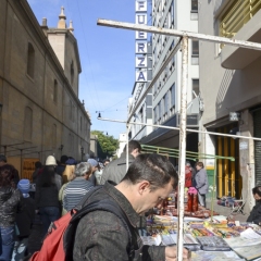 DSC_0479