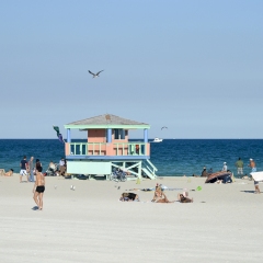 DSC_0904