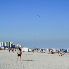DSC_0906