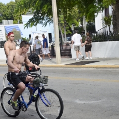 DSC_1006