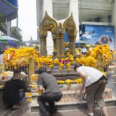 DSC1931