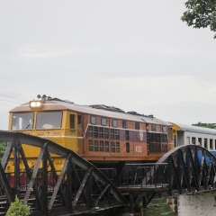 DSC1842