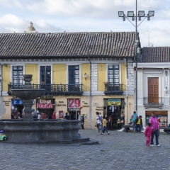 DSC2363