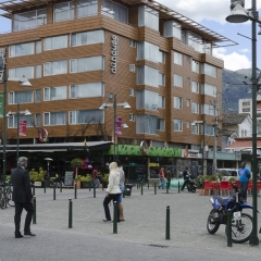 DSC2555