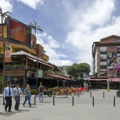 DSC2562