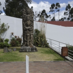 DSC2566