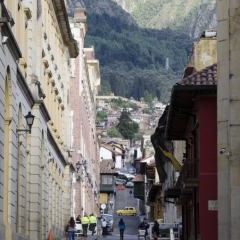 DSC2620