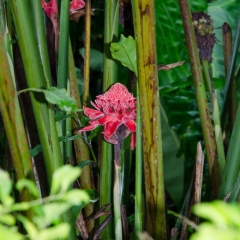 DSC_3089