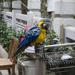 DSC_4160