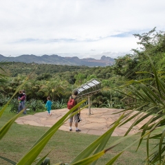 DSC_5386