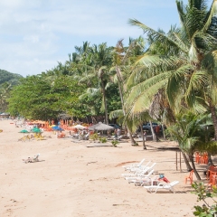 DSC0999